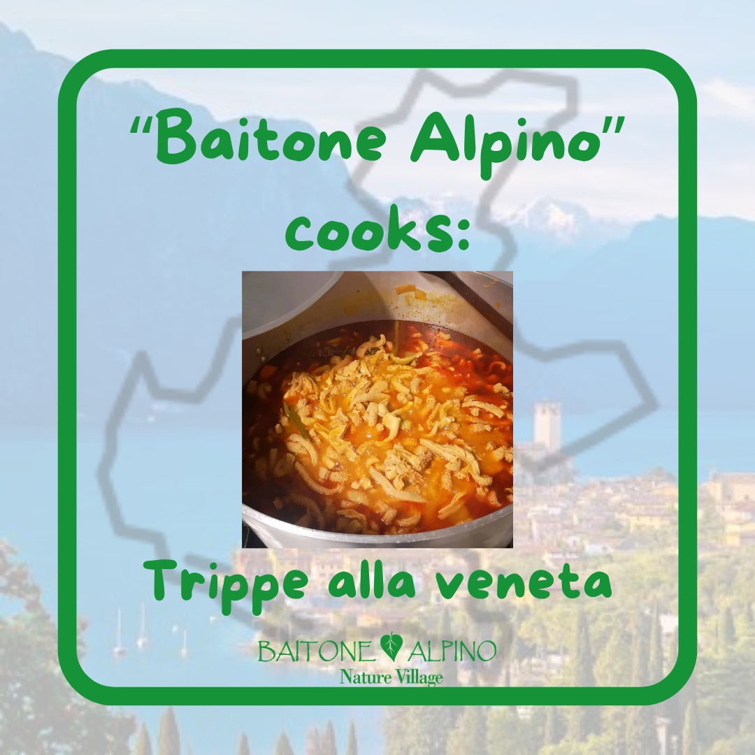 BaitoneAlpino Cooks: Trippe alla veneta